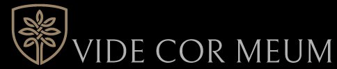 Vide Cor Meum