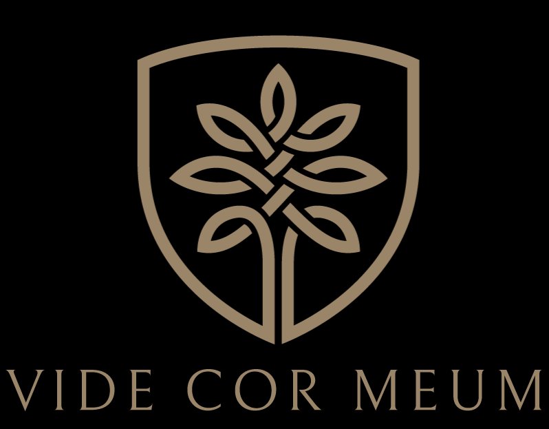 Vide Cor Meum